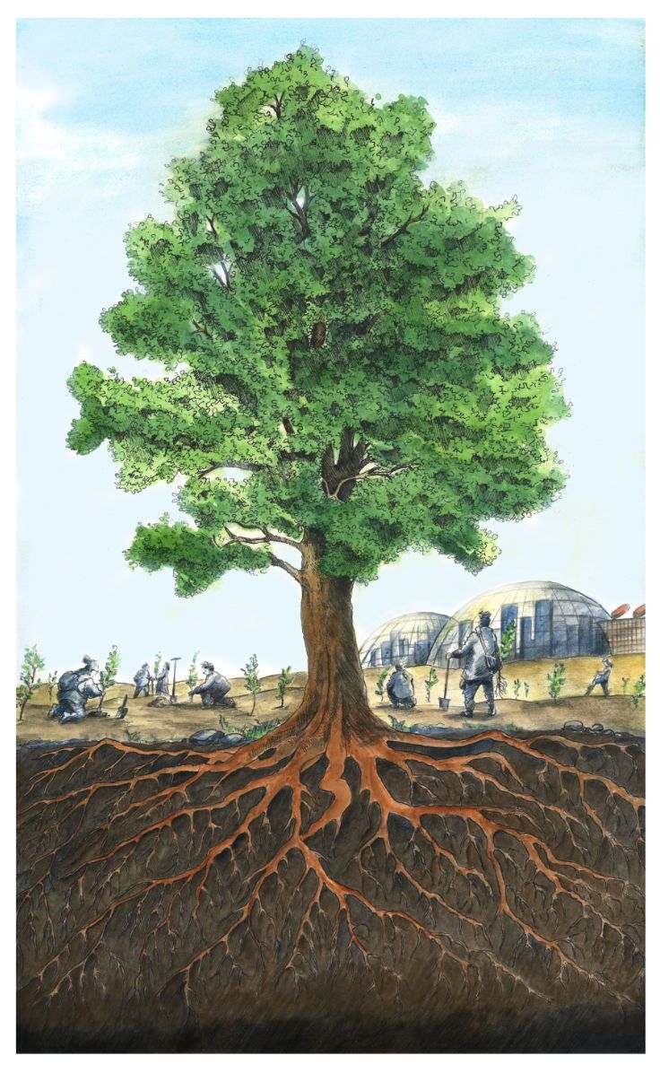 Illustration of people planting saplings around a large tree